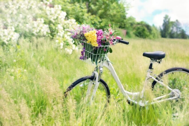 Fit im Handumdrehen - Fitness auf dem Fahrrad